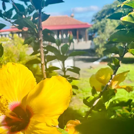 Casa de Férias Casa Mazo